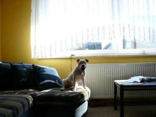 Bessi 30-04-07