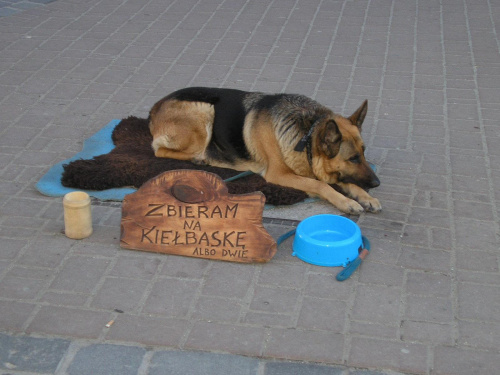 ZAKOPANE 2007