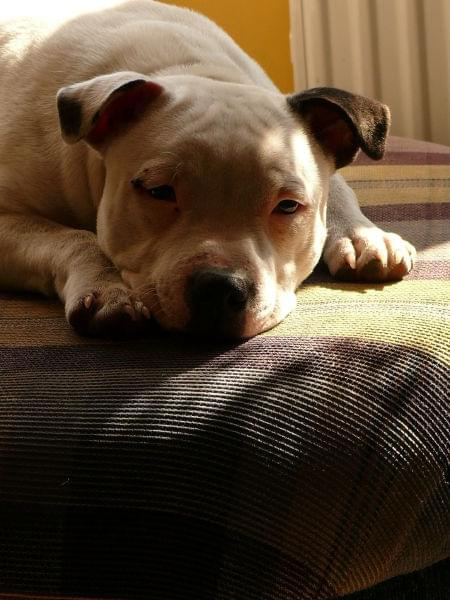 Bessi 30-04-07
