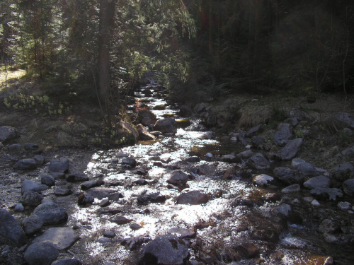 ZAKOPANE 2007