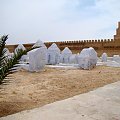 Kairouan - cmentarz