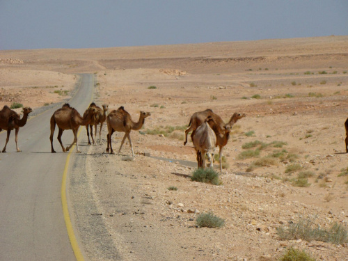 W drodze do Ghadames (650km od Trypolisu) Przymusowy postój