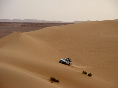 Jeep Safari na Saharze