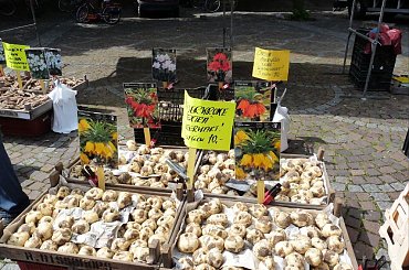 #Alkmaar #Holandia #Targ #Sery #Miasto #TheWaag