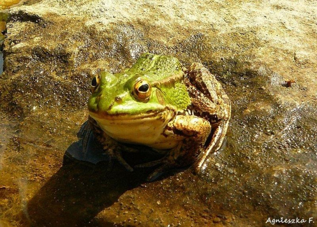 mój książę z bajki :)