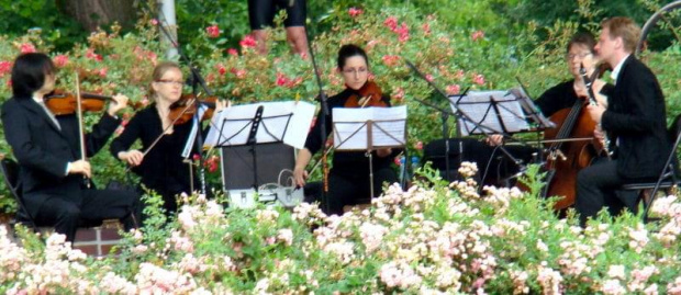 piękny koncert w ogrodzie różanym w Szczecinie :))))) #koncert