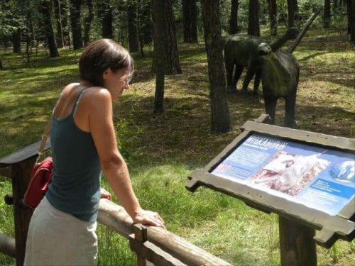 JURA PARK Solec Kujawski 15.07.2009 #dinozaury #ParkJurajski #wakacje