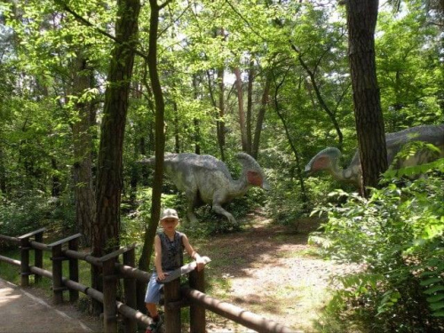 JURA PARK Solec Kujawski 15.07.2009 #dinozaury #ParkJurajski #wakacje