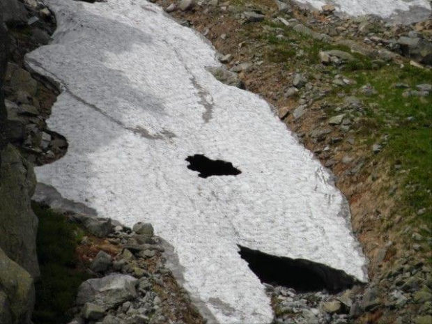 Wycieczka z Łysej Polany przez Schronisko w DolRoztoki do Doliny Roztoki , Wodospad Siklawa, Dolina Pieciu Stawow Polskich do Morskiego Oka, do Łysej Polany #tatry #góry #lato