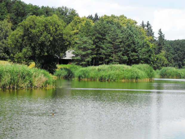 Gołuchów, lato 2009, Ośrodek Kultury Leśniej i zamek w Gołuchowie, Wielkopolski Park Narodowy