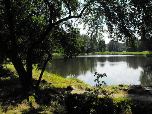 Gołuchów, lato 2009, Ośrodek Kultury Leśniej i zamek w Gołuchowie, Wielkopolski Park Narodowy