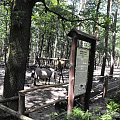 Gołuchów, lato 2009, Ośrodek Kultury Leśniej i zamek w Gołuchowie, Wielkopolski Park Narodowy