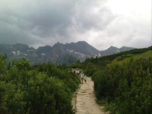 Na Kasprowy wjechalismy kolejka i schodzilismy przez Halę Gąsienicową do Kuźnic przez Boczań #tatry #góry #lato