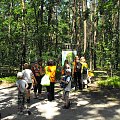 Gołuchów, lato 2009, Ośrodek Kultury Leśniej i zamek w Gołuchowie, Wielkopolski Park Narodowy