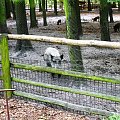 Gołuchów, lato 2009, Ośrodek Kultury Leśniej i zamek w Gołuchowie, Wielkopolski Park Narodowy