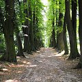 Gołuchów, lato 2009, Ośrodek Kultury Leśniej i zamek w Gołuchowie, Wielkopolski Park Narodowy