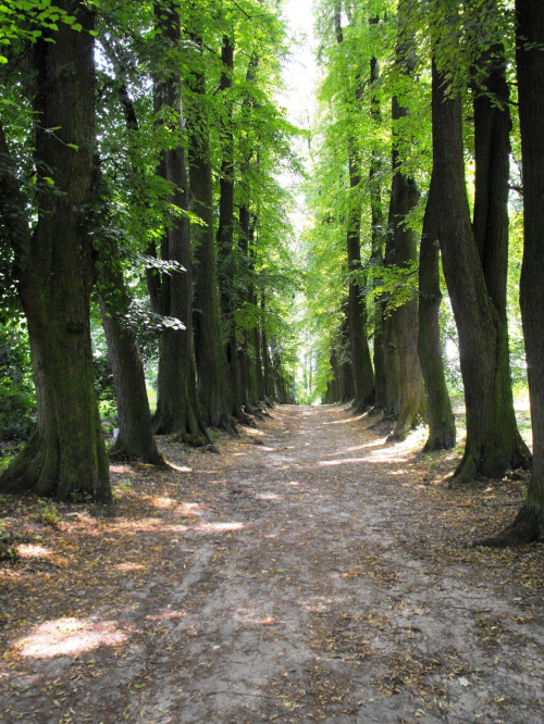 Gołuchów, lato 2009, Ośrodek Kultury Leśniej i zamek w Gołuchowie, Wielkopolski Park Narodowy