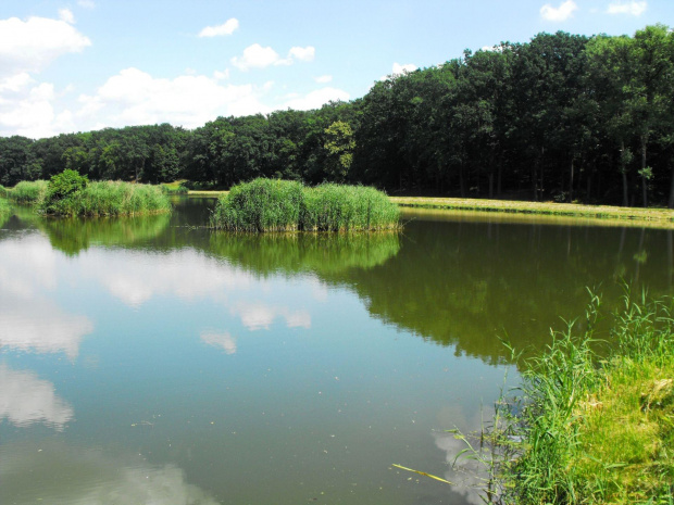 Gołuchów, lato 2009, Ośrodek Kultury Leśniej i zamek w Gołuchowie, Wielkopolski Park Narodowy