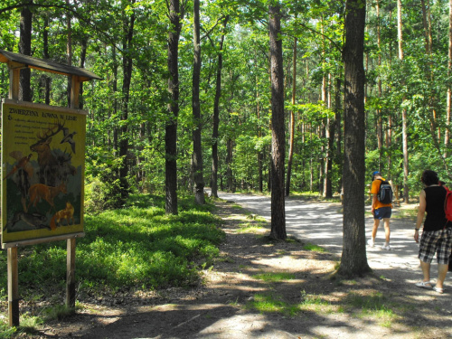 Gołuchów, lato 2009, Ośrodek Kultury Leśniej i zamek w Gołuchowie, Wielkopolski Park Narodowy