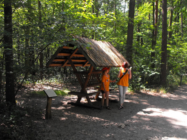 Gołuchów, lato 2009, Ośrodek Kultury Leśniej i zamek w Gołuchowie, Wielkopolski Park Narodowy