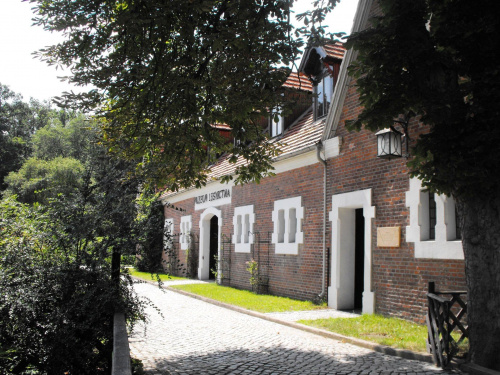 Gołuchów, lato 2009, Ośrodek Kultury Leśniej i zamek w Gołuchowie, Wielkopolski Park Narodowy