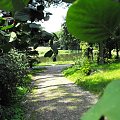 Gołuchów, lato 2009, Ośrodek Kultury Leśniej i zamek w Gołuchowie, Wielkopolski Park Narodowy