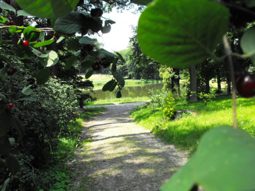 Gołuchów, lato 2009, Ośrodek Kultury Leśniej i zamek w Gołuchowie, Wielkopolski Park Narodowy