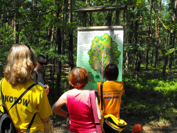 Gołuchów, lato 2009, Ośrodek Kultury Leśniej i zamek w Gołuchowie, Wielkopolski Park Narodowy