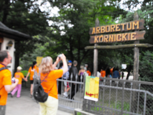 Kórnik, pałac i arboretum, lato 2009