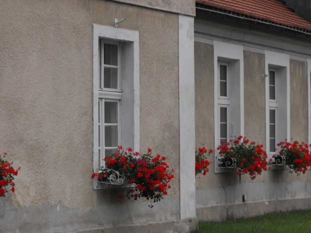 Kórnik, pałac i arboretum, lato 2009