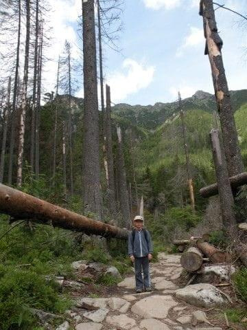 Wycieczka z Łysej Polany przez Schronisko w DolRoztoki do Doliny Roztoki , Wodospad Siklawa, Dolina Pieciu Stawow Polskich do Morskiego Oka, do Łysej Polany #tatry #góry #lato