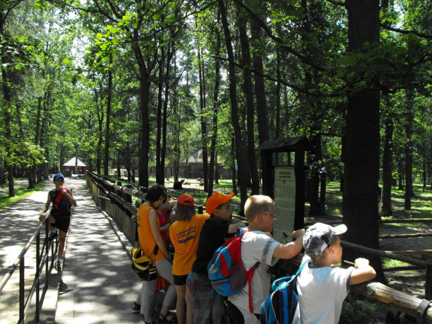 Gołuchów, lato 2009, Ośrodek Kultury Leśniej i zamek w Gołuchowie, Wielkopolski Park Narodowy