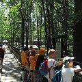 Gołuchów, lato 2009, Ośrodek Kultury Leśniej i zamek w Gołuchowie, Wielkopolski Park Narodowy