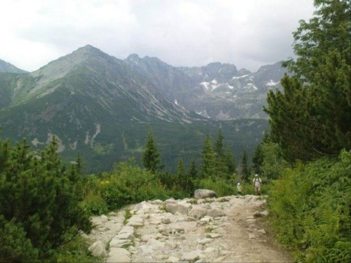 Na Kasprowy wjechalismy kolejka i schodzilismy przez Halę Gąsienicową do Kuźnic przez Boczań #tatry #góry #lato