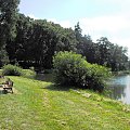 Gołuchów, lato 2009, Ośrodek Kultury Leśniej i zamek w Gołuchowie, Wielkopolski Park Narodowy