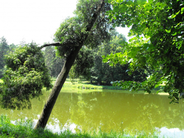 Gołuchów, lato 2009, Ośrodek Kultury Leśniej i zamek w Gołuchowie, Wielkopolski Park Narodowy