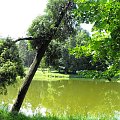 Gołuchów, lato 2009, Ośrodek Kultury Leśniej i zamek w Gołuchowie, Wielkopolski Park Narodowy