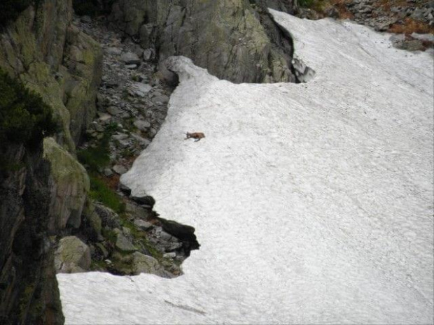 Wycieczka z Łysej Polany przez Schronisko w DolRoztoki do Doliny Roztoki , Wodospad Siklawa, Dolina Pieciu Stawow Polskich do Morskiego Oka, do Łysej Polany #tatry #góry #lato