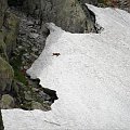 Wycieczka z Łysej Polany przez Schronisko w DolRoztoki do Doliny Roztoki , Wodospad Siklawa, Dolina Pieciu Stawow Polskich do Morskiego Oka, do Łysej Polany #tatry #góry #lato