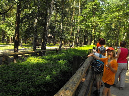 Gołuchów, lato 2009, Ośrodek Kultury Leśniej i zamek w Gołuchowie, Wielkopolski Park Narodowy