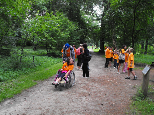 Kórnik, pałac i arboretum, lato 2009