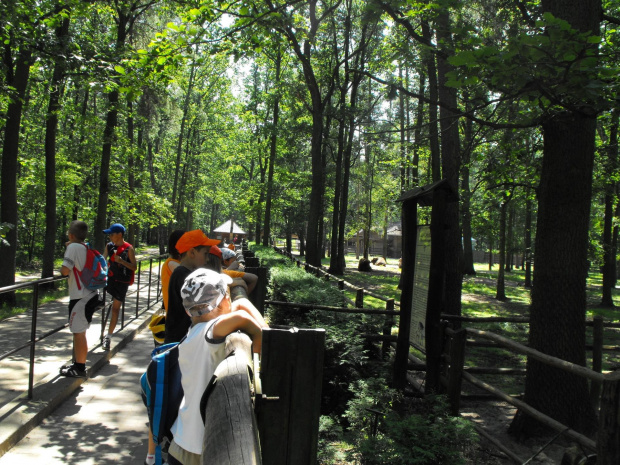 Gołuchów, lato 2009, Ośrodek Kultury Leśniej i zamek w Gołuchowie, Wielkopolski Park Narodowy