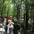 Gołuchów, lato 2009, Ośrodek Kultury Leśniej i zamek w Gołuchowie, Wielkopolski Park Narodowy
