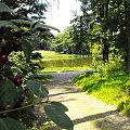 Gołuchów, lato 2009, Ośrodek Kultury Leśniej i zamek w Gołuchowie, Wielkopolski Park Narodowy