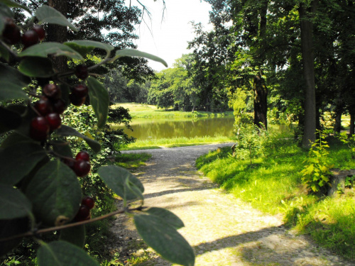 Gołuchów, lato 2009, Ośrodek Kultury Leśniej i zamek w Gołuchowie, Wielkopolski Park Narodowy