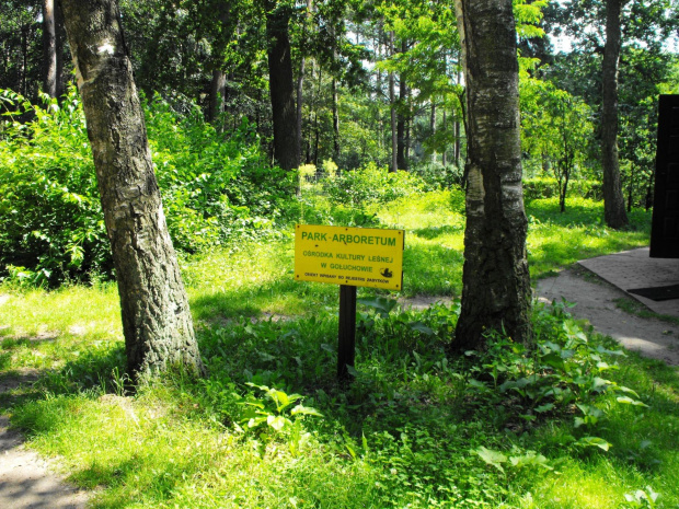 Gołuchów, lato 2009, Ośrodek Kultury Leśniej i zamek w Gołuchowie, Wielkopolski Park Narodowy