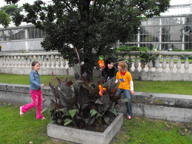 Warsztaty Puszczykowo 2009 - Palmiarnia Poznańska