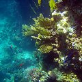 Sharm El Sheikh - okolice zatoki Sharks Bay