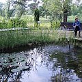 Warsztaty Puszczykowo 2009, zdjęcia Ewy I Małgosi