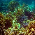 Sharm El Sheikh - okolice zatoki Sharks Bay